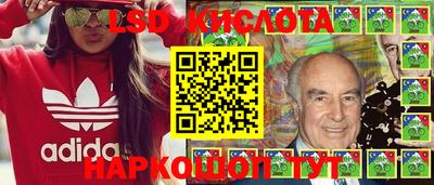 шишки Гай
