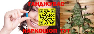 шишки Гай