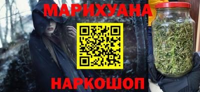 шишки Гай